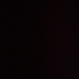 Meet your Posher, Renae